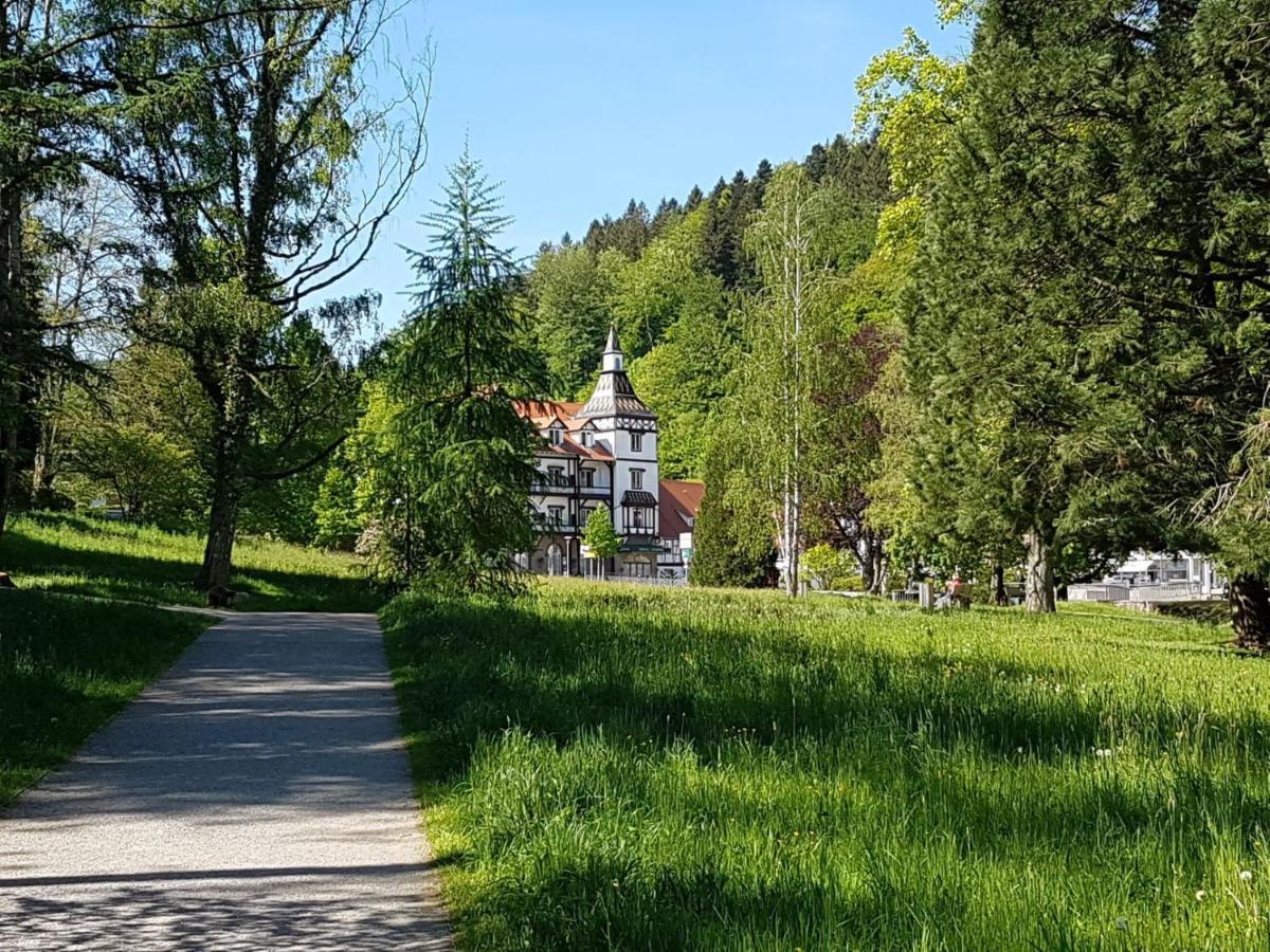 Am Klosterviertel バート・ヘレンアプ エクステリア 写真
